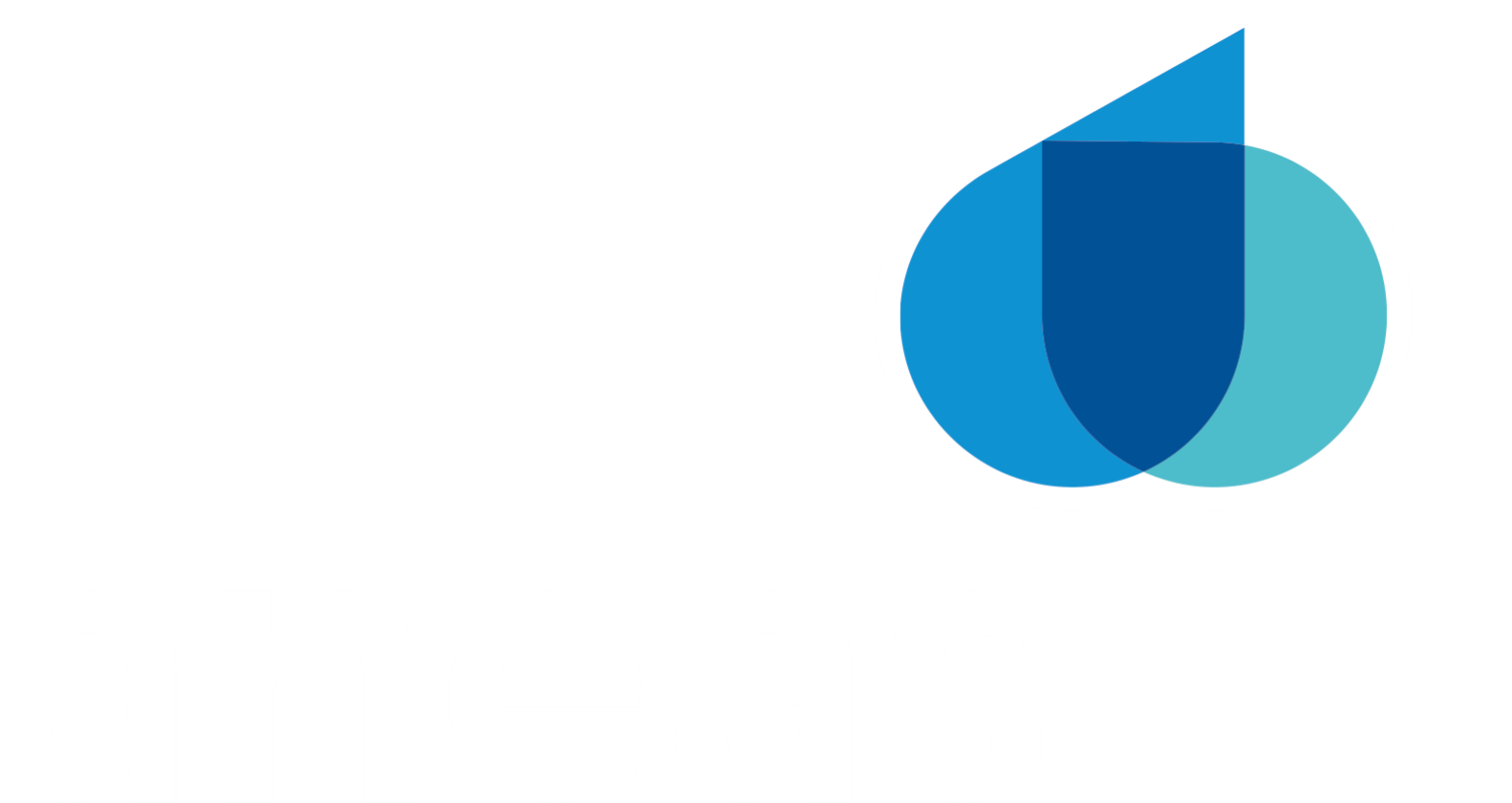 ANEAS